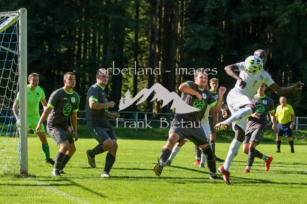 993T2719 | Medien- Sport- Entertainmentfotos