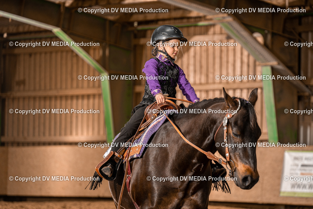 BAL02204 | dv-media-shop - Realisiert mit Pictrs.com