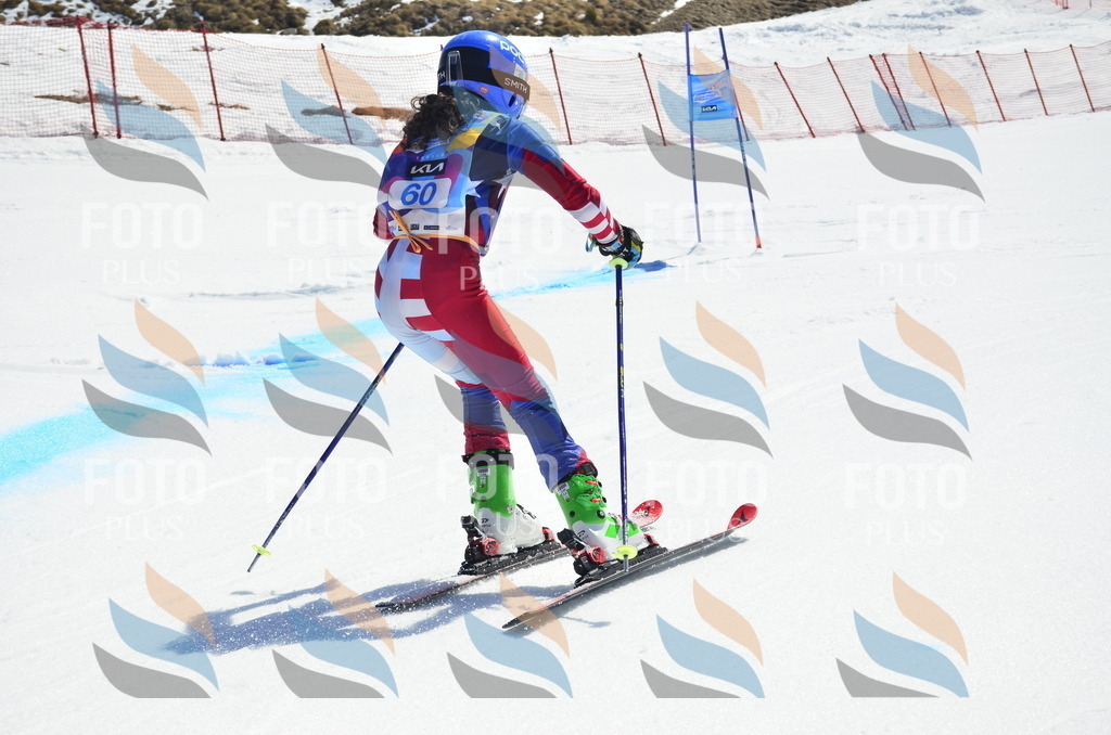 _ELE0232 | holidayphoto