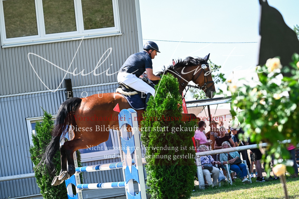 DSC_0983 | Pferde- und Turnierfotografie in Westsachsen. Pferdeportraits, Auftragszeichnungen und intuitive Kunst.