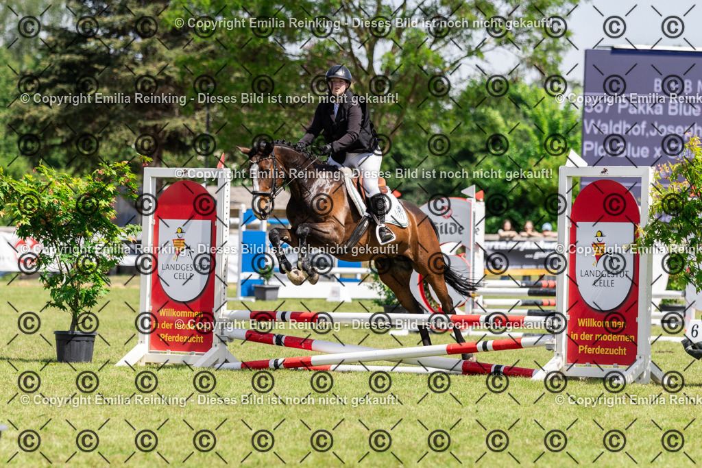 CL5A9984 | Emilia Reinking Fotografie - Realisiert mit Pictrs.com