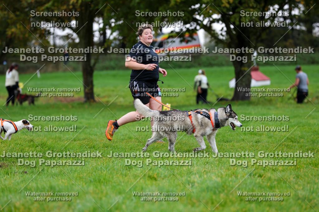 Dog Paparazzi -  SD1026-1379 | Dog Paparazzi Jeanette Grottendiek Fotografie & Videografie - Realisiert mit Pictrs.com
