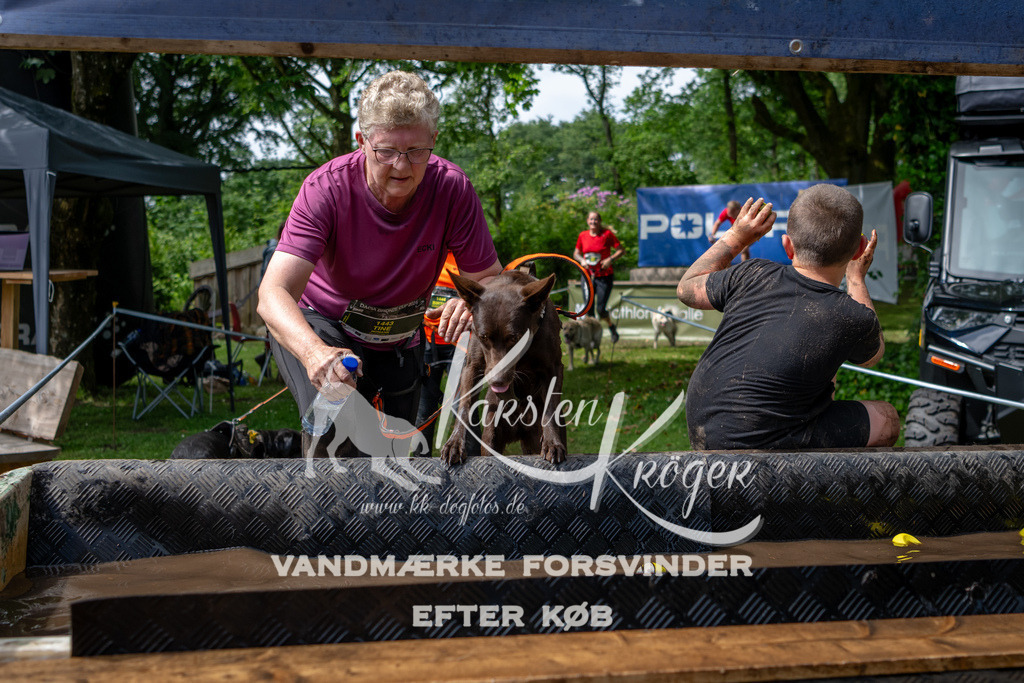 1113_ZZ93015 | kk-dogfotos