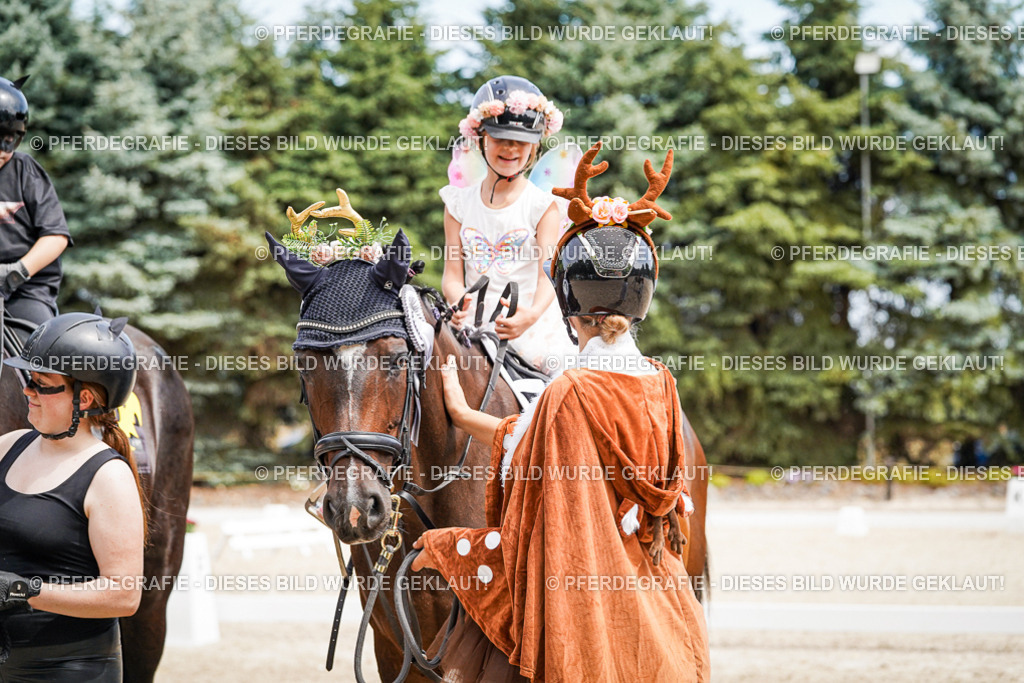 DSC03221 | Pferdegrafie