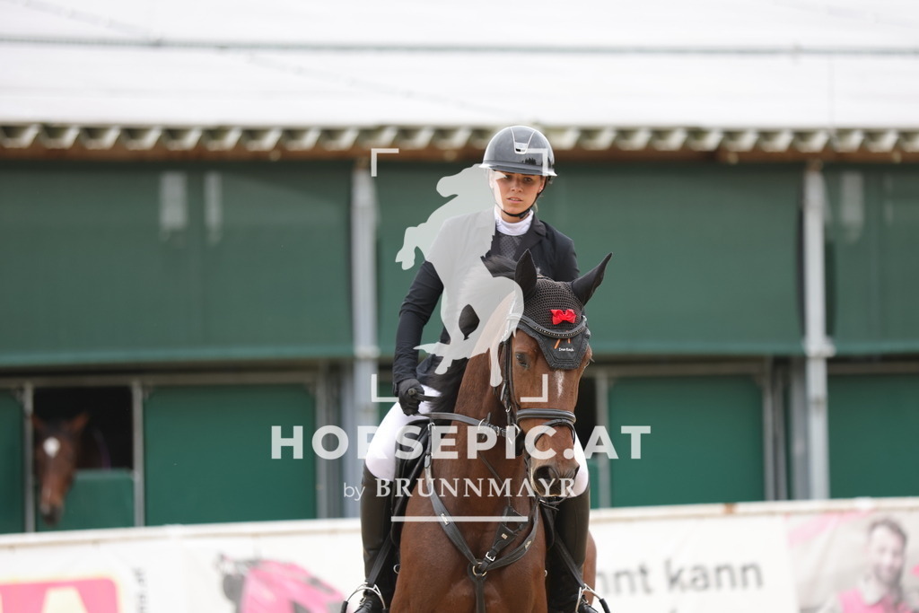 0P6A3294 | Willkommen bei Brunnmayr - Design & Fotografie – Ihrem Spezialisten für Reitturniere und Pferdeveranstaltungen in Oberösterreich, Salzburg und Bayern! Seit über 17 Jahren sind wir leidenschaftlich dabei.