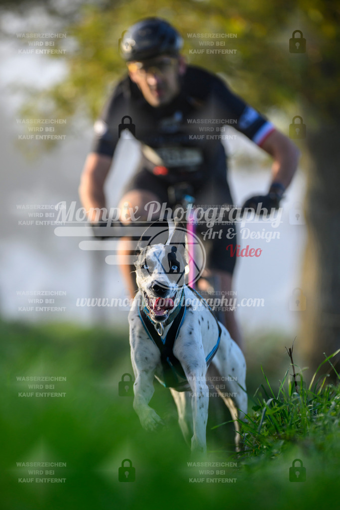 MompixPhotography_20TSB_E3_Bike-29 | PayLife