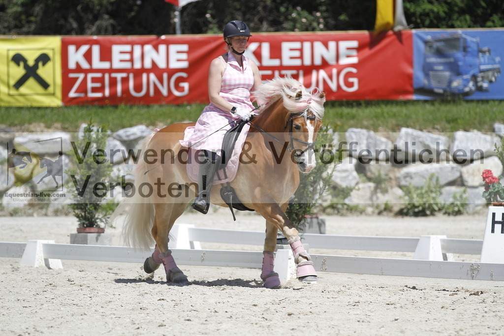 _MG_7853 | equestrian-live-com