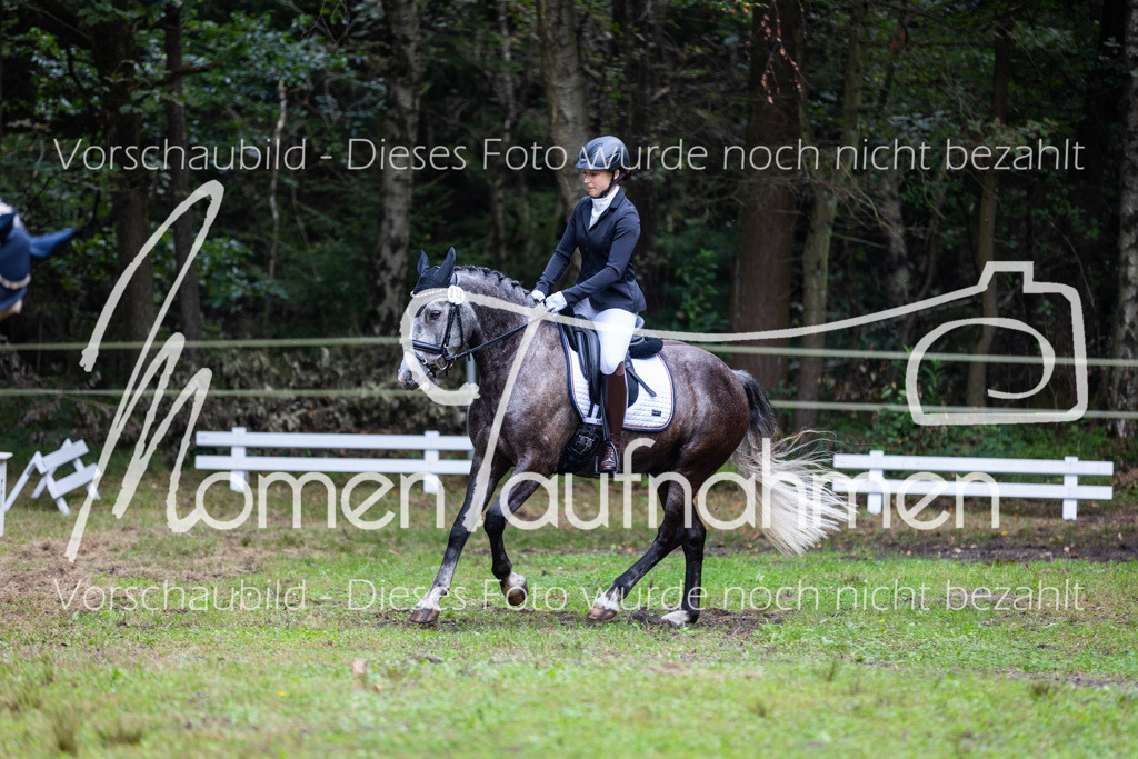 HB-A-Dressur-072 | MomenTaufnahmen Pferdesportfotos