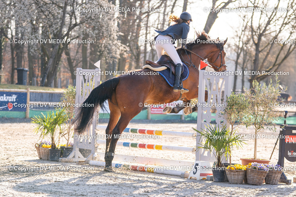 Kranichstein Tag 1-053 | dv-media-shop - Realisiert mit Pictrs.com