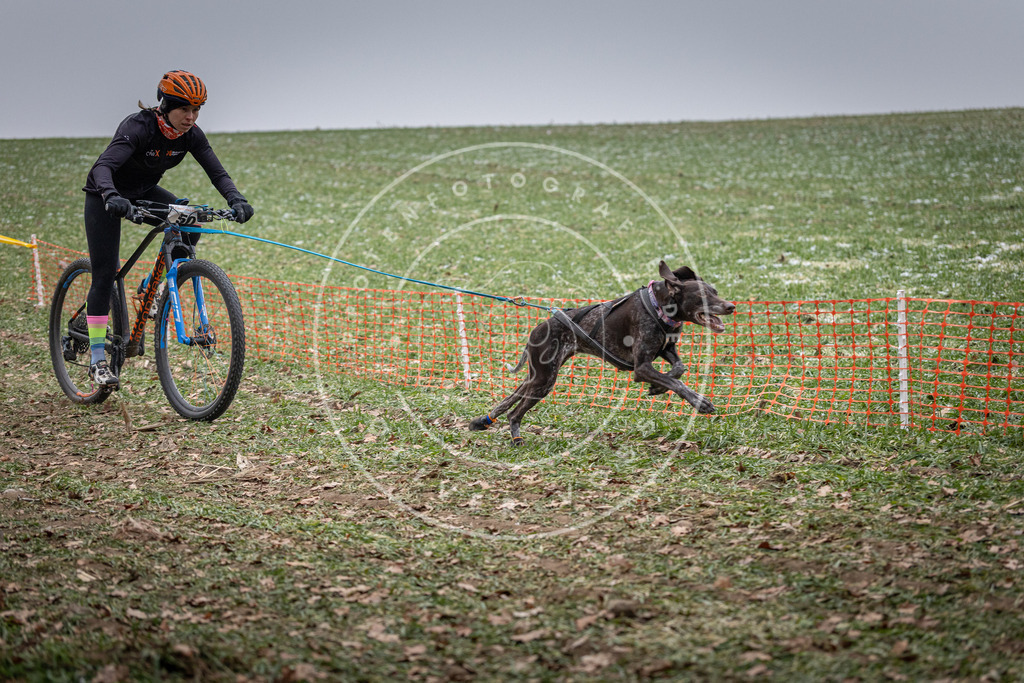 Pfotenfotografie_DV3A1051 | Hundefotografie, Tierfotograf, Pfotenfotografie, Fotoshooting Hund, Hunde Portrait, Hundesport, Hundeportraits, Heideshooting, Hunde, Sportfotograf, Hundefotograf, Turnierhundsport, THS,  - Realisiert mit Pictrs.com