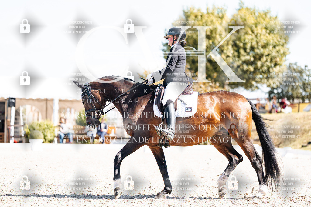 CK903471 | Turnierfotografie Pferdefotografie Trier Rheinland-Pfalz Pferdesport Reitsport Tierfotografie Sportfotografie Pferdevideo Pferdevideografie Equestrianvideography equestrianphotography  - Realisiert mit Pictrs.com