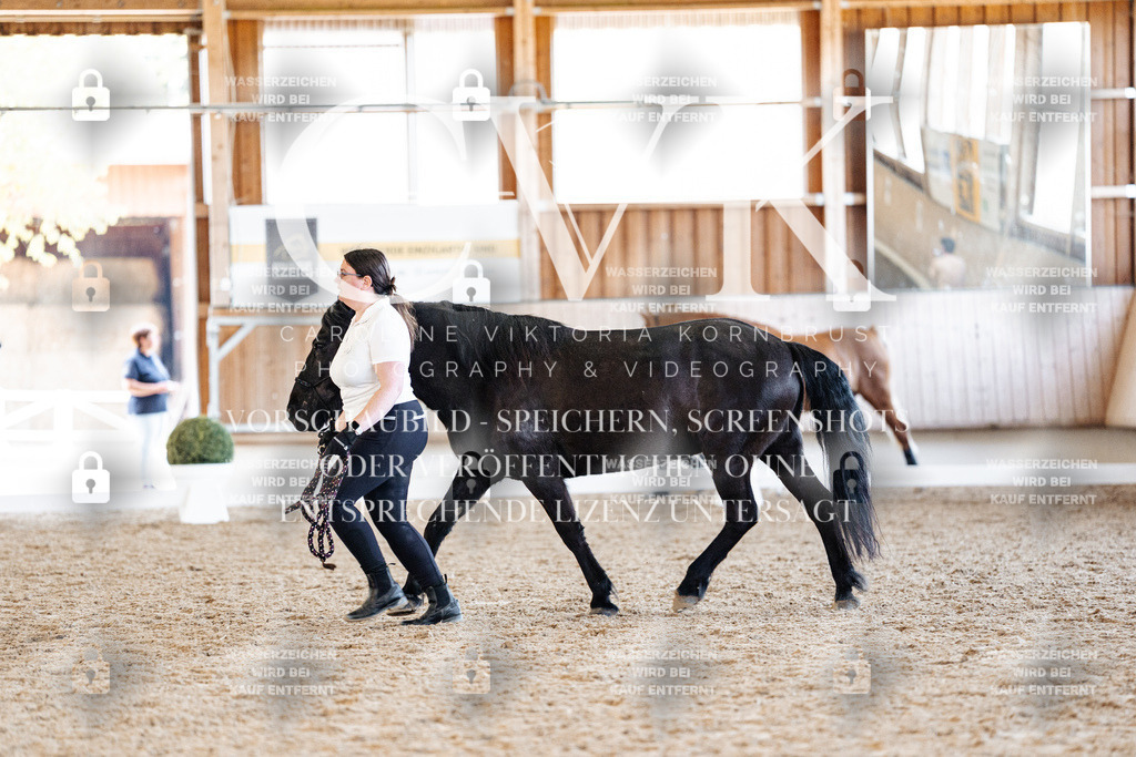 CK906531 | Turnierfotografie Pferdefotografie Trier Rheinland-Pfalz Pferdesport Reitsport Tierfotografie Sportfotografie Pferdevideo Pferdevideografie Equestrianvideography equestrianphotography  - Realisiert mit Pictrs.com
