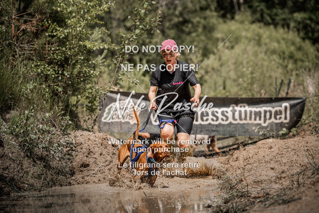 nelerasche_Hoope2026_Sa1230-1300_438 | nelerasche