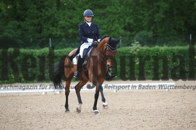 Böblingen_2023_Prfg_Nr.01_Dressur_Kl.S_Kür_Stefanie Lempert_Latifa 11 (9) | Alle Fotos der Reiterjournal Fotografin Doris Matthaes im Reiterjournal Online-Fotoshop. - Realisiert mit Pictrs.com