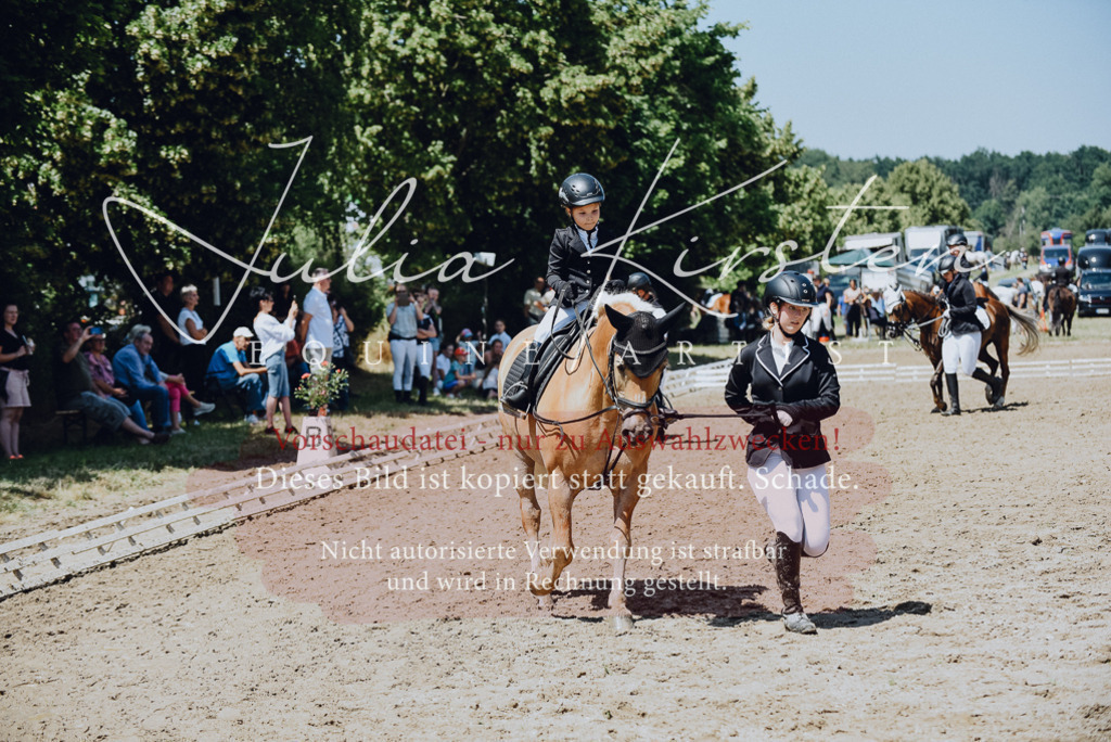 DSC_2451 | Pferde- und Turnierfotografie in Westsachsen. Pferdeportraits, Auftragszeichnungen und intuitive Kunst.