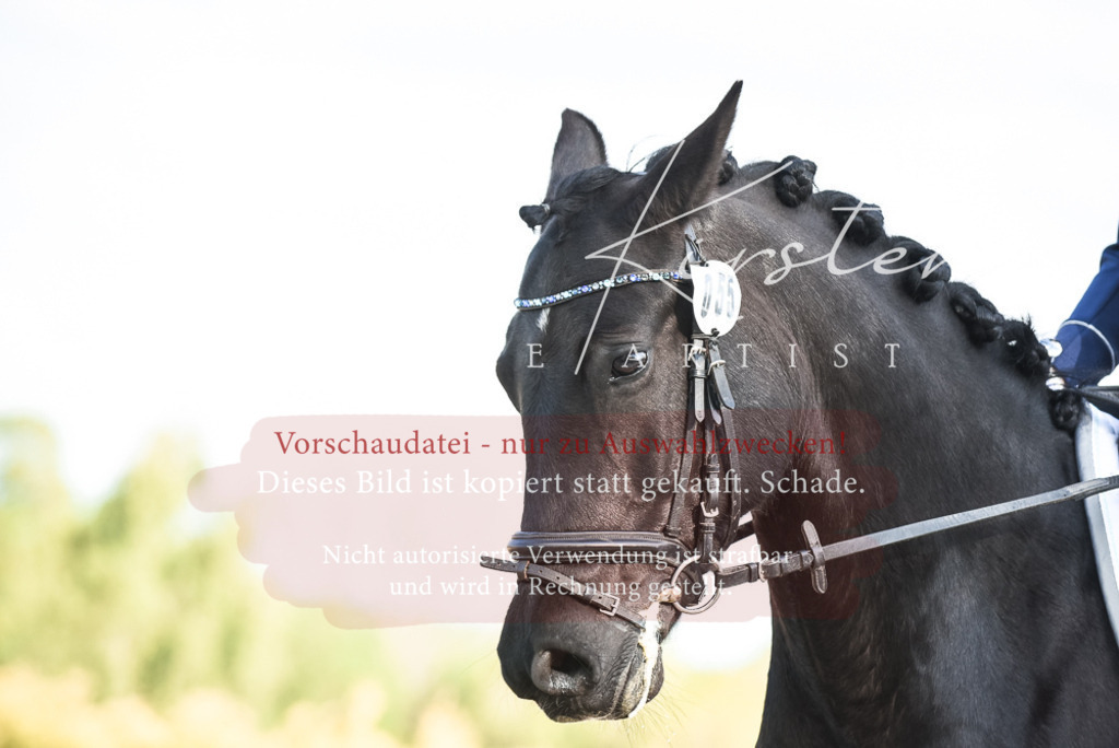 20230518_JK-Röhrsdorf-12-0980 | Pferde- und Turnierfotografie in Westsachsen. Pferdeportraits, Auftragszeichnungen und intuitive Kunst.