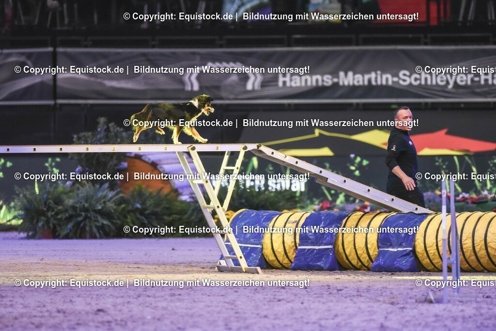 20231115_Dog-Agility_0167_TOMsPiC | Foto: Thomas Hartig