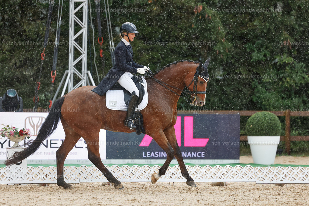 8_2-149-DRESSUR S_  -StoibPH-4479 | working equitationturnier fotograf videograf stoibphotography marixx film working equitation deutschland reitsport turnierfotografie eventfotografie equestrian events