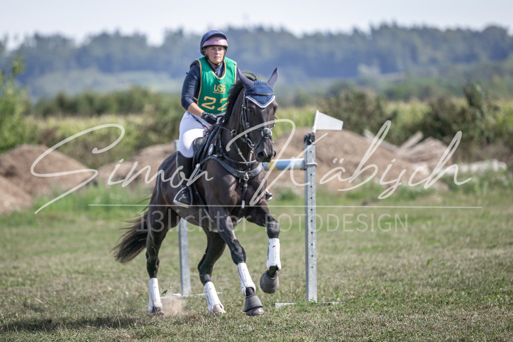 20250907-_3LI2247 | Tierfotografie Pferde, Hunde, Katzen, Haustiere.
Turnierfotografie Reitturniere, Reiten, Springreiten, Dressur in Hanau, dem Main-Kinzig-Kreis und dem Rhein-Main- Gebiet um Frankfurt