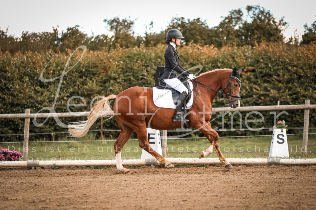 14.SaDrA200081 | Leoni Ertmer Photography - Realisiert mit Pictrs.com