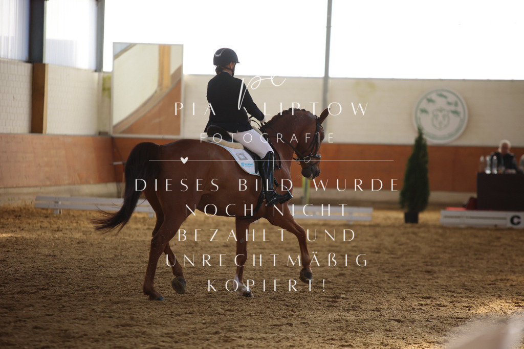 IMGT7104 | pl-fotografie