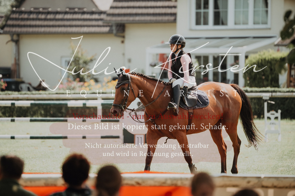 DSC_0575 | Pferde- und Turnierfotografie in Westsachsen. Pferdeportraits, Auftragszeichnungen und intuitive Kunst.