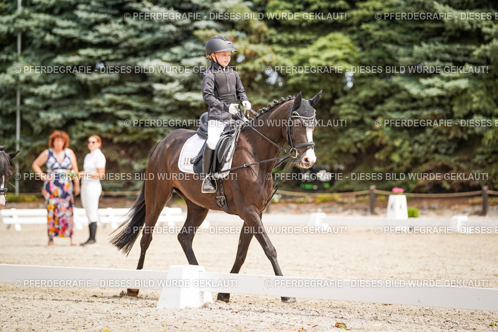 DSC02740 | Pferdegrafie