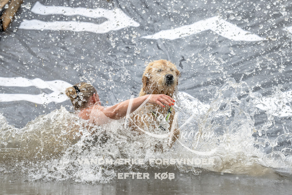 1211_ZZ94499 | kk-dogfotos
