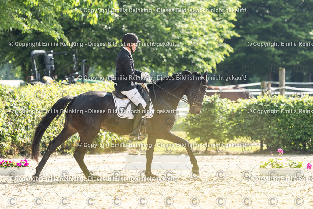 CL5A4179 | Emilia Reinking Fotografie - Realisiert mit Pictrs.com