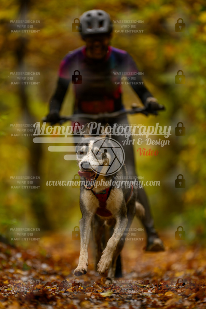 MompixPhotography_CD7S_DI_DS-12 | mompixphotography