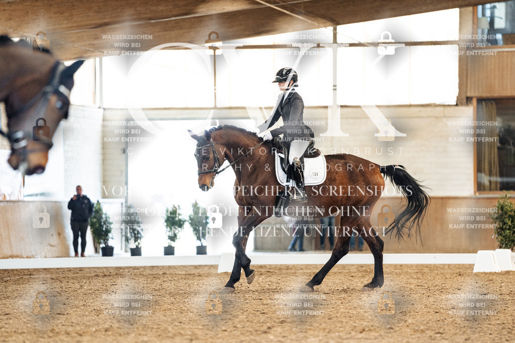 CK908806 | Turnierfotografie Pferdefotografie Trier Rheinland-Pfalz Pferdesport Reitsport Tierfotografie Sportfotografie Pferdevideo Pferdevideografie Equestrianvideography equestrianphotography  - Realisiert mit Pictrs.com