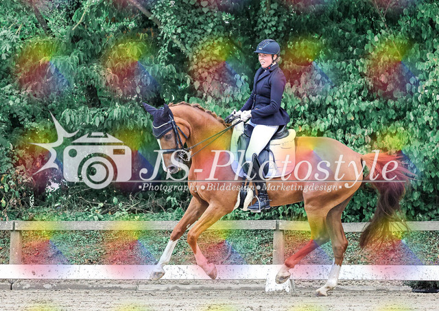 20250727_Dressurprfg_Kl.Mxx-10 | JS-Photostyle - Sport-/Portrait- & Eventfotografie
