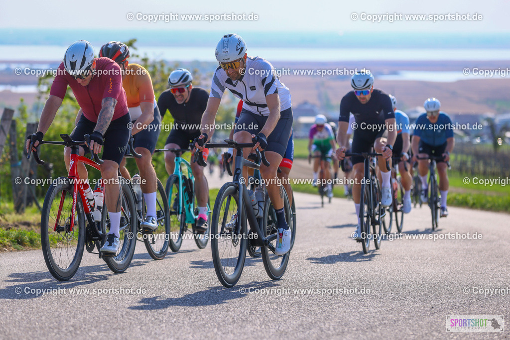 TRA_0475 | Neusiedlersee Radmarathon 2026@sportshot_your_pictrs #yourpictures#roadtowm2029 #nrm #neusiedlerseeradmarathon #neusiedlersee #neusiedlerseetourismus #burgenland #mörbisch #nrm26 #burgenlandtourismus #voglundco #poweredbyburgenlandtourismus #radsport #rad #marathon #ucigranfondo #visitburgenland #ucigranfondoworldseries