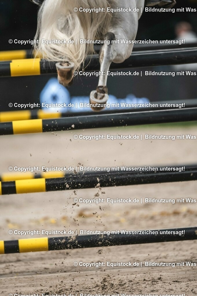 20231116_BW-Bank-Hallenchampionat_0148_TOMsPiC-2 | Foto: Thomas Hartig