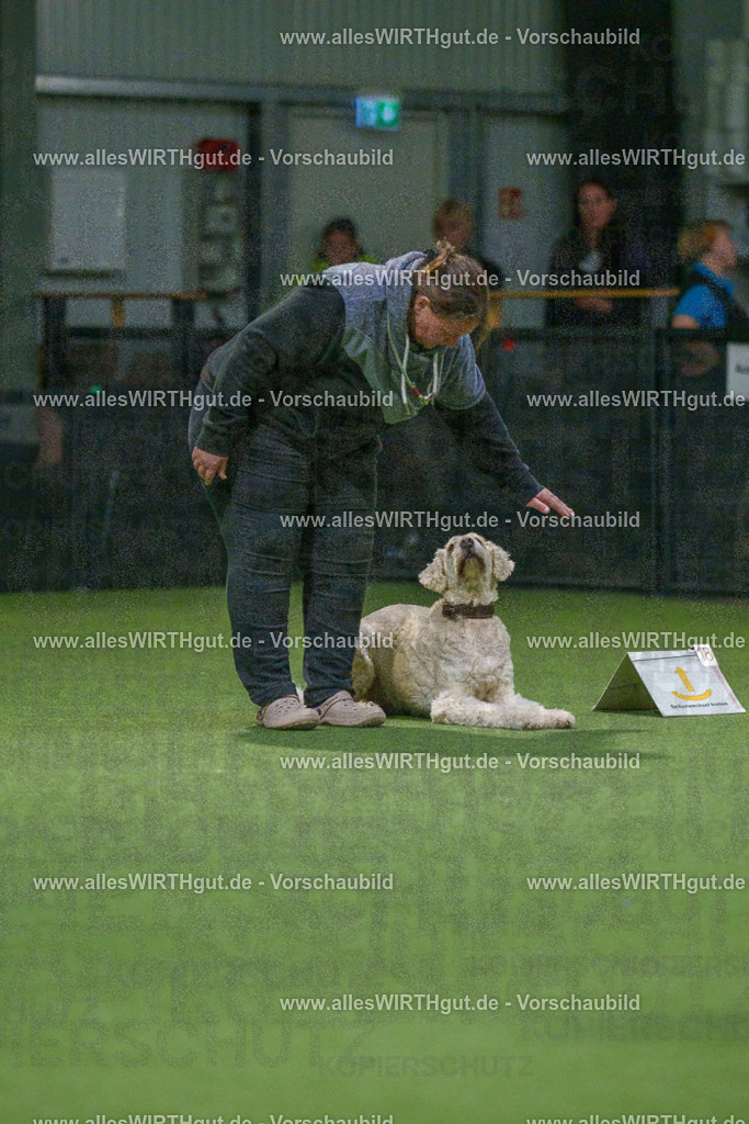 7R507544 | Professionelle Tierfotografie in Mönchengladbach von Daniel Wirth (allesWIRTHgut). Liebevolle & natürliche Bilder von Hunden & Katzen für unvergessliche Erinnerungen.