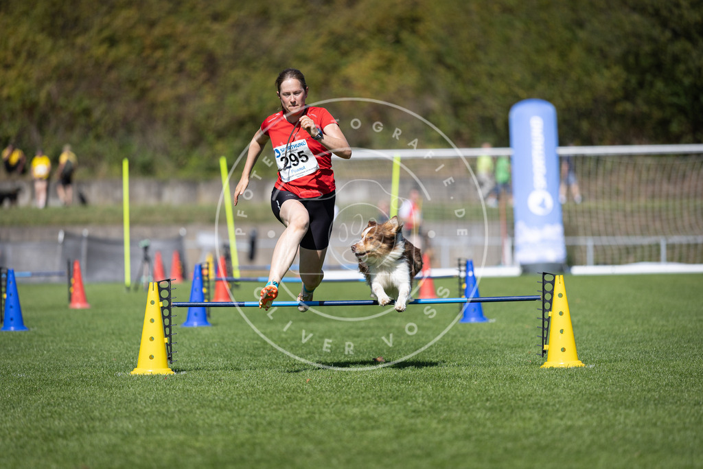 Pfotenfotografie_DV3A7590 | Hundefotografie, Tierfotograf, Pfotenfotografie, Fotoshooting Hund, Hunde Portrait, Hundesport, Hundeportraits, Heideshooting, Hunde, Sportfotograf, Hundefotograf, Turnierhundsport, THS,  - Realisiert mit Pictrs.com