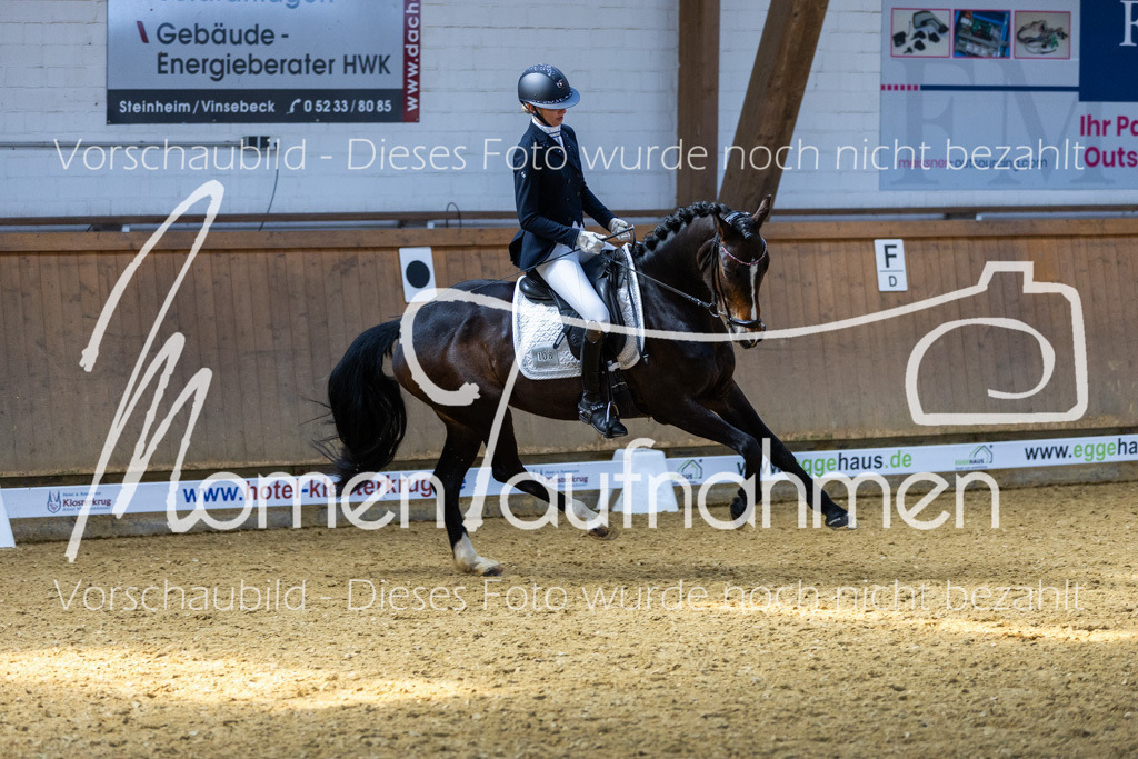 Sth-LPO25-DrR-L-290 | MomenTaufnahmen Pferdesportfotos