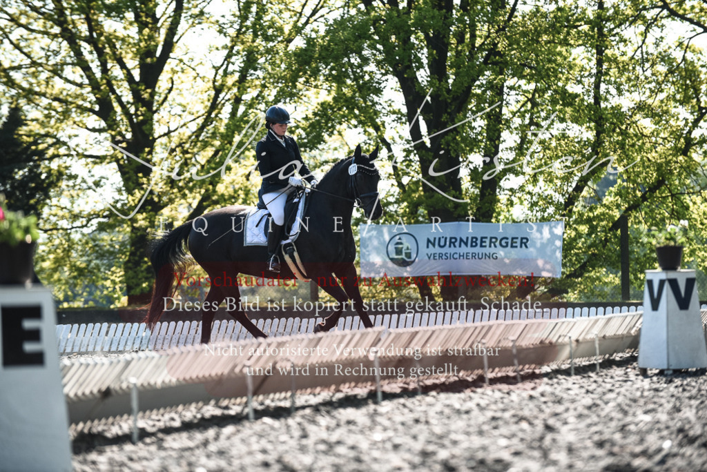 DSC_8636 | Pferde- und Turnierfotografie in Westsachsen. Pferdeportraits, Auftragszeichnungen und intuitive Kunst.
