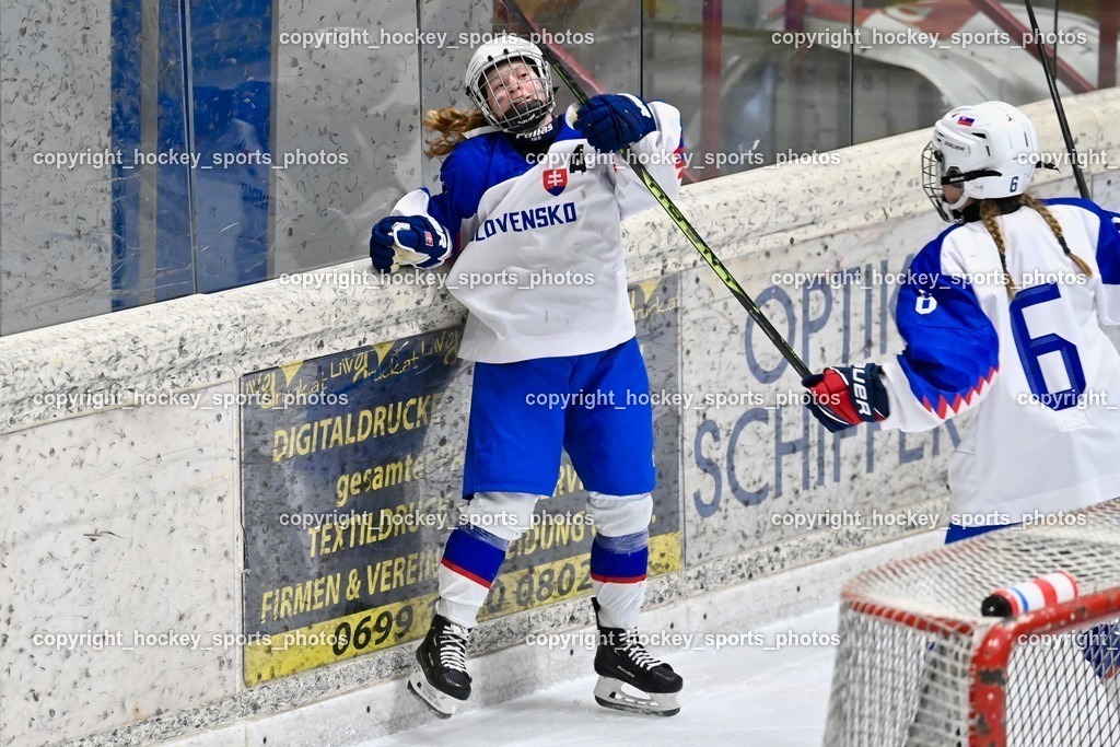 BST_4549 | hockey sports photos, Pressefotos, Sportfotos, hockey247, win 2day icehockeyleague, Handball Austria, Floorball Austria, ÖVV, Kärntner Eishockeyverband, KEHV, KFV, Kärntner Fussballverband, Österreichischer Volleyballverband, Alps Hockey League, ÖFB, 