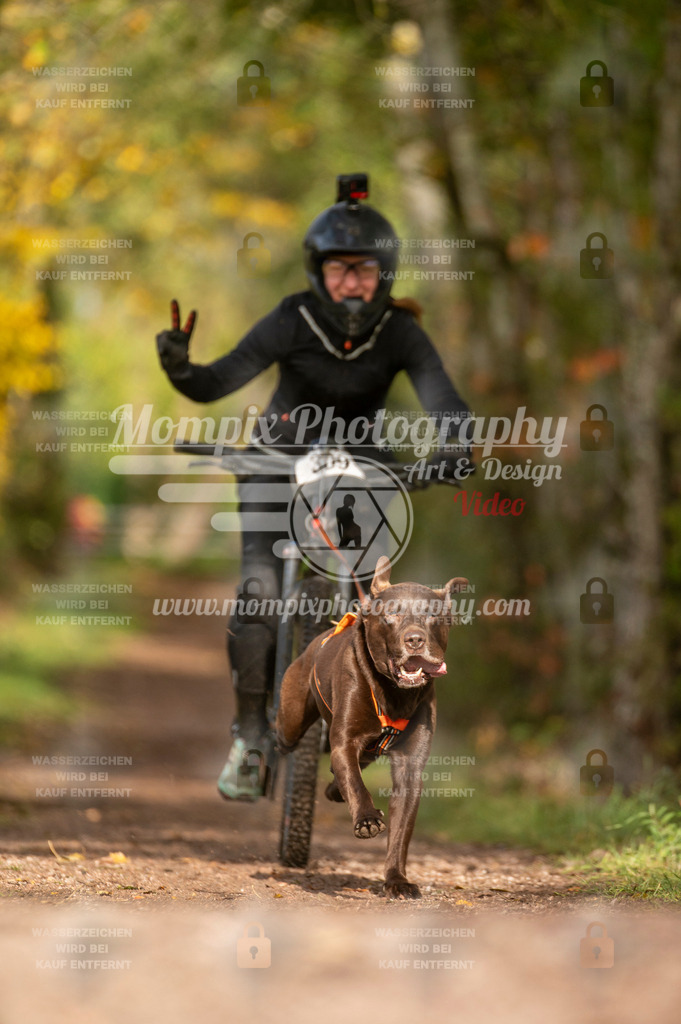 TSB_2023_E4_Bike-71 | PayLife