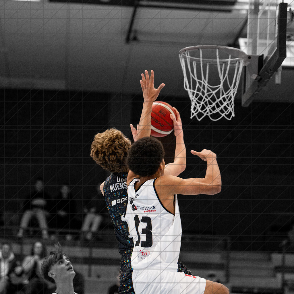 JBBL 24/25 | 23.11.2024 | Charisma Young Bulls vs. UBC Münster  | JBBL 24/25 | 23.11.2024 | Charisma Young Bulls vs. UBC Münster - - - - - CREDIT, www.bullenfotos.de, Martin König, Hörner Weg 40, D-49078 Osnabrück, +4917663732967, Nutzung und Weitergabe nur zu den vereinbarten Zwecken. Presseanfragen an Urheber. Alle Rechte beim Urheber. - - - - - - Realisiert mit Pictrs.com