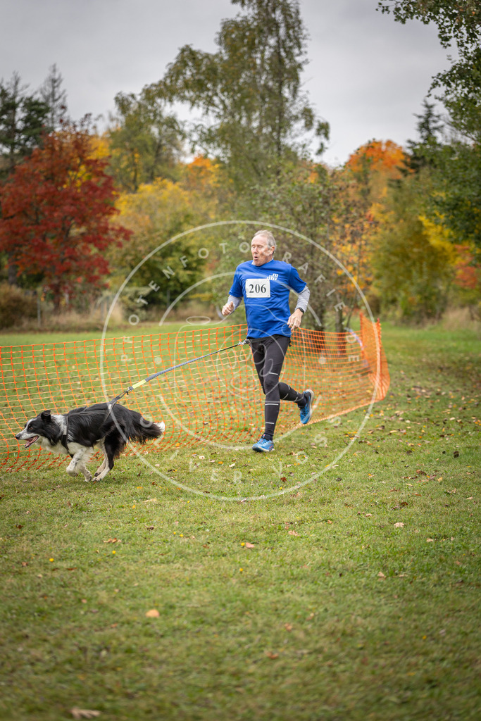 Pfotenfotografie_DV3A4065 | Hundefotografie, Tierfotograf, Pfotenfotografie, Fotoshooting Hund, Hunde Portrait, Hundesport, Hundeportraits, Heideshooting, Hunde, Sportfotograf, Hundefotograf, Turnierhundsport, THS,  - Realisiert mit Pictrs.com