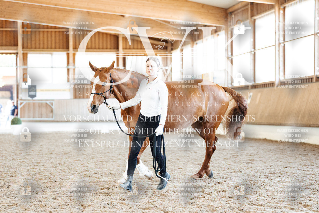 CK906925 | Turnierfotografie Pferdefotografie Trier Rheinland-Pfalz Pferdesport Reitsport Tierfotografie Sportfotografie Pferdevideo Pferdevideografie Equestrianvideography equestrianphotography  - Realisiert mit Pictrs.com