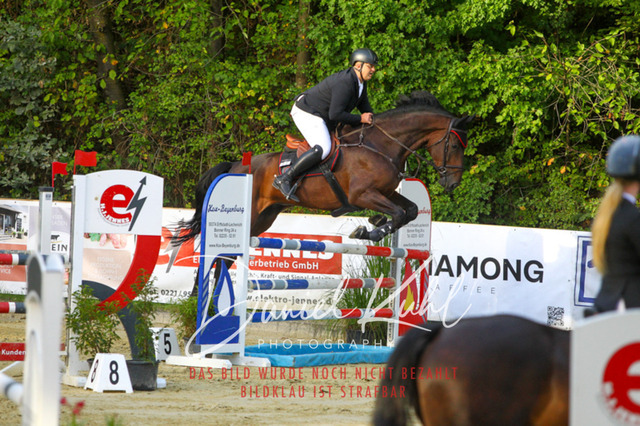 DKP42608 | Turniersportfotografie; Pferdefotografie; Dressurfotografie