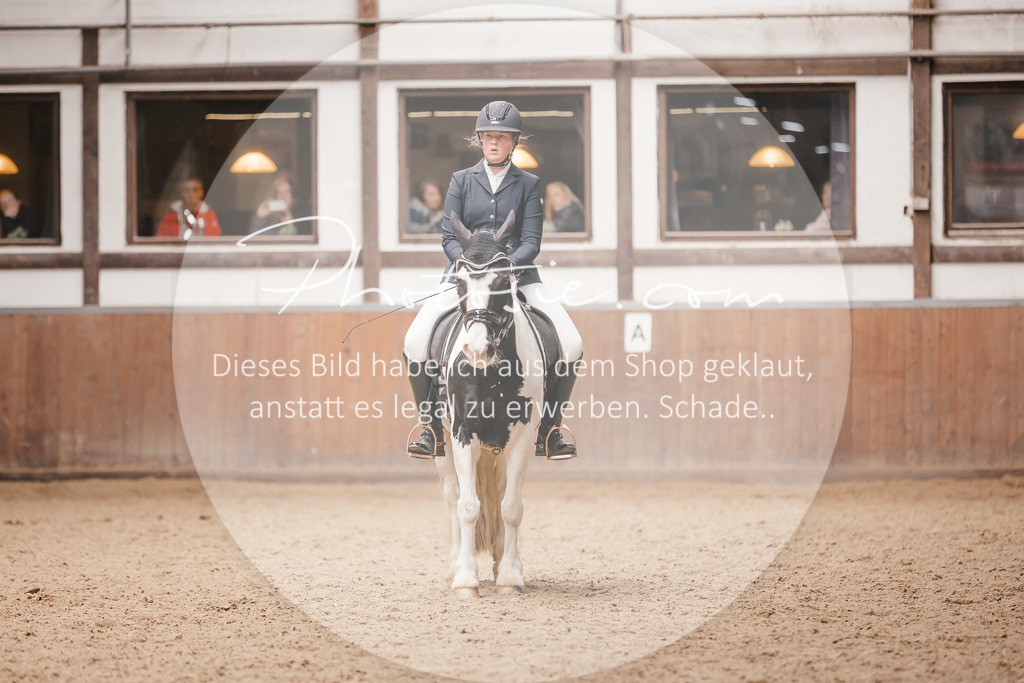 3I6A7976 | Stimmungsvolle Portraits und Reitsportfotografie im Ruhrgebiet und im Münsterland.

Pferdefotografie, Hundefotografie, Tierfotografie, Reportagen, Portraits von Tier und Mensch, Turnierfotografie in Bochum, Recklinghausen, Marl, Haltern am See, Dülmen.. - Realisiert mit Pictrs.com