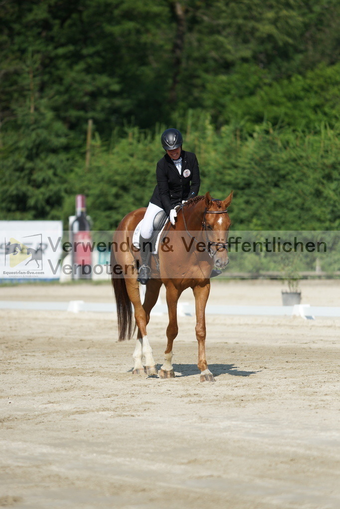 DSC01369 | equestrian-live-com