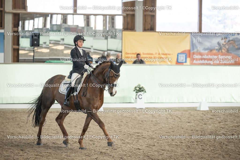 _D5A3137 | Emotionale Pferde- & People-Fotografie rund um Heidelberg, Leimen & Umgebung. Natürliche Fotos von Pferd, Mensch & Familie. Jetzt Termin sichern!