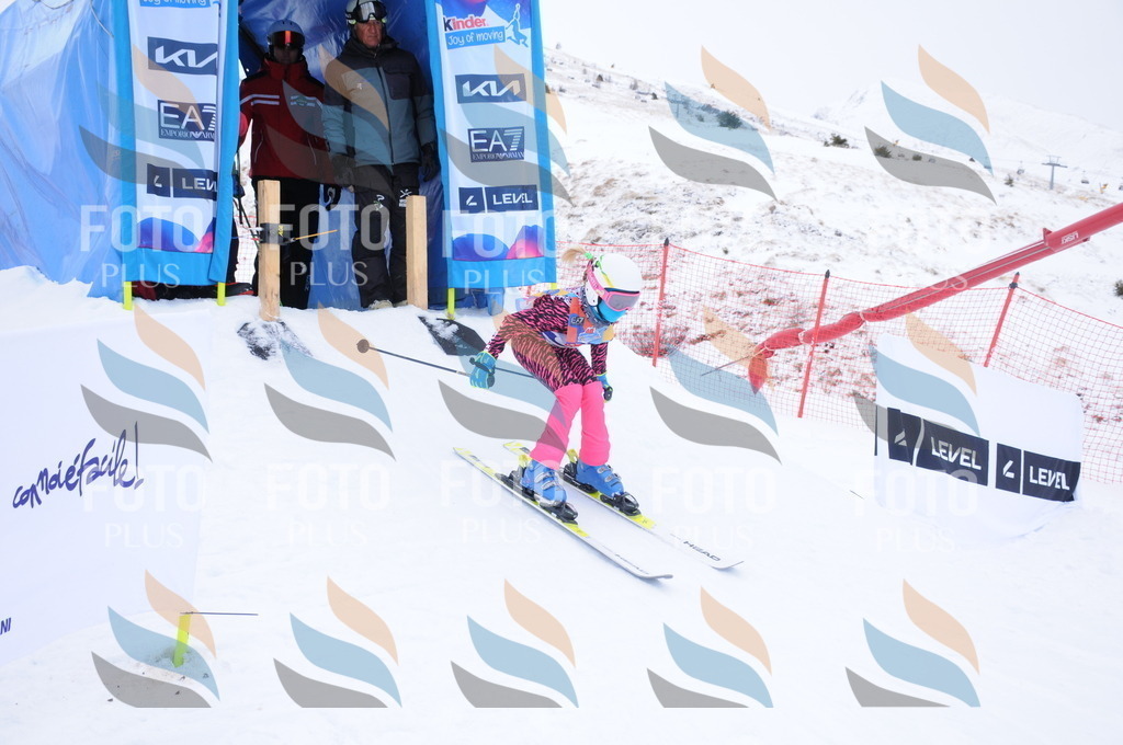 DSC_8273 | holidayphoto