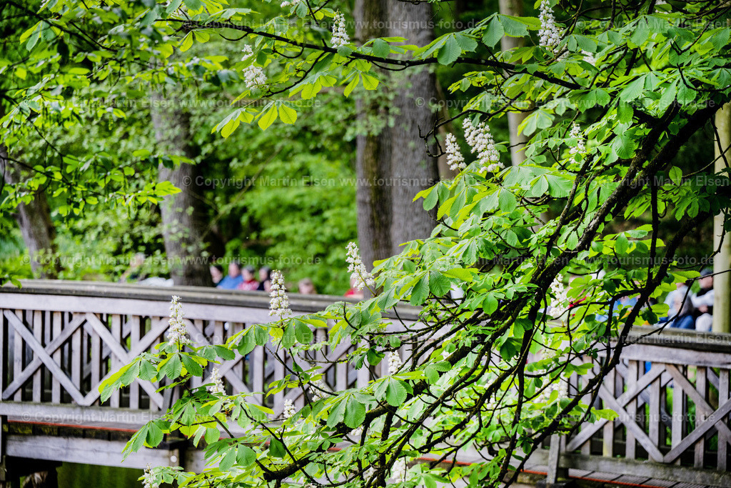 Agathenburg Schloss_ELS_2612130523 | Agathenburger Schloss - Realisiert mit Pictrs.com