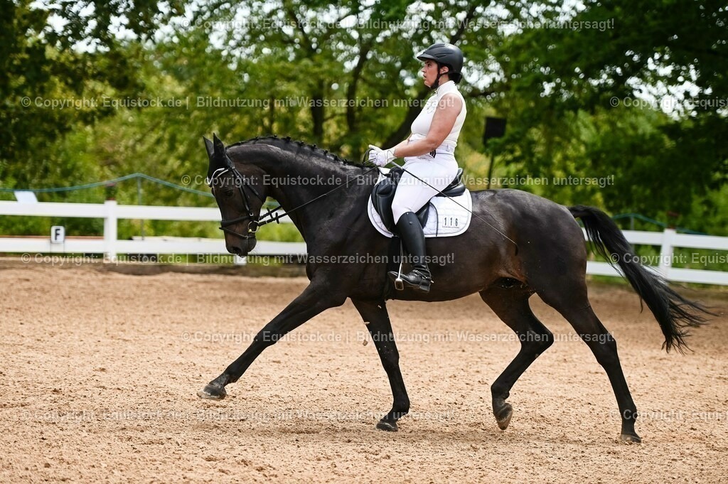 20230715_05_Dressurprüfung Kl.A++_0163 | equistock